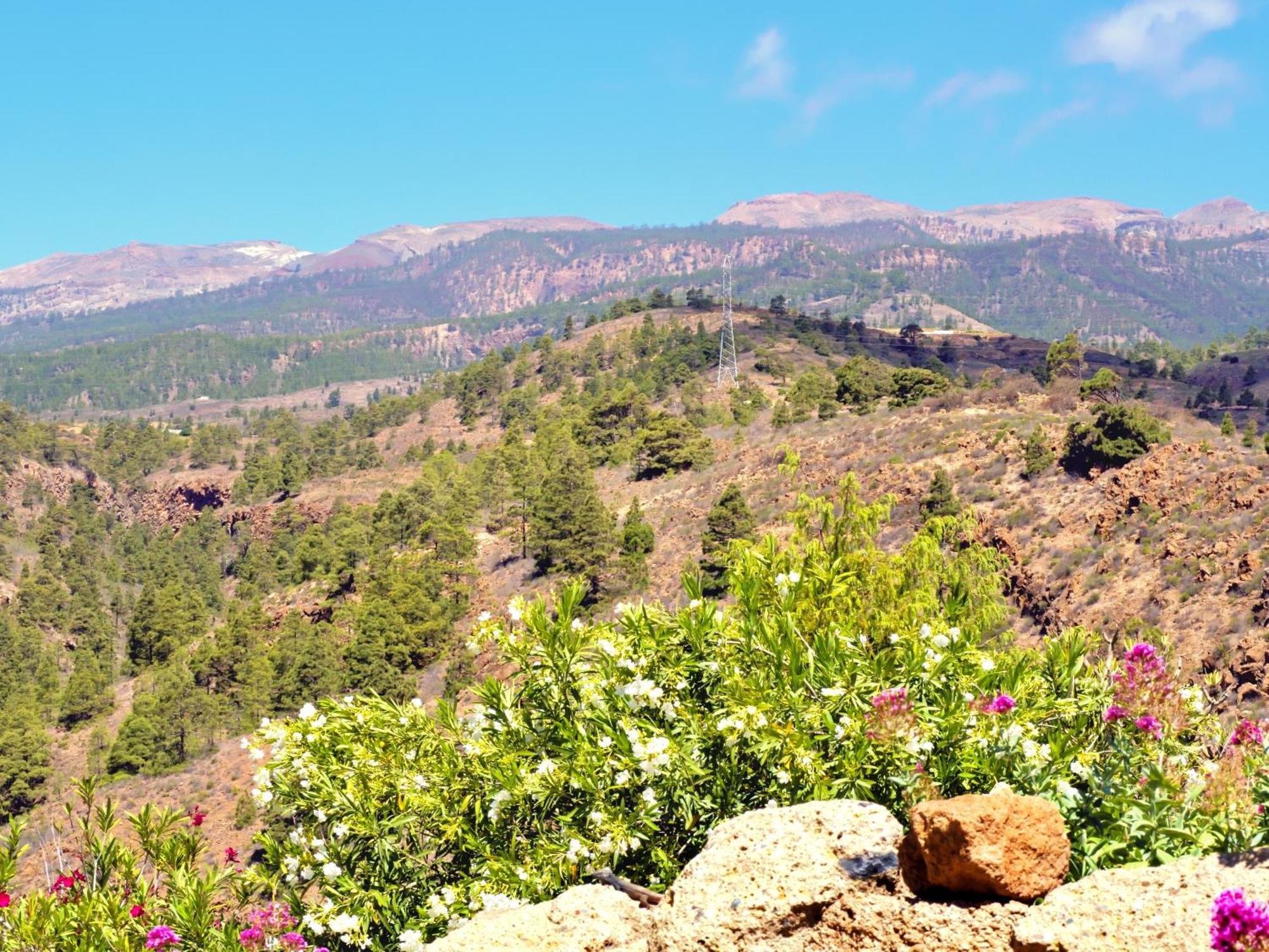 -Casa Azul-Arico Viejo La Sabinita - Baden, Wandern, Klettern, Individualurlaub Jenseits Des Massentourismus, Villa Dış mekan fotoğraf