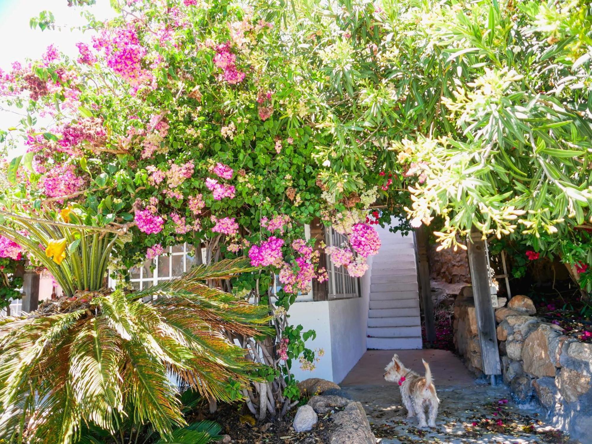 -Casa Azul-Arico Viejo La Sabinita - Baden, Wandern, Klettern, Individualurlaub Jenseits Des Massentourismus, Villa Dış mekan fotoğraf
