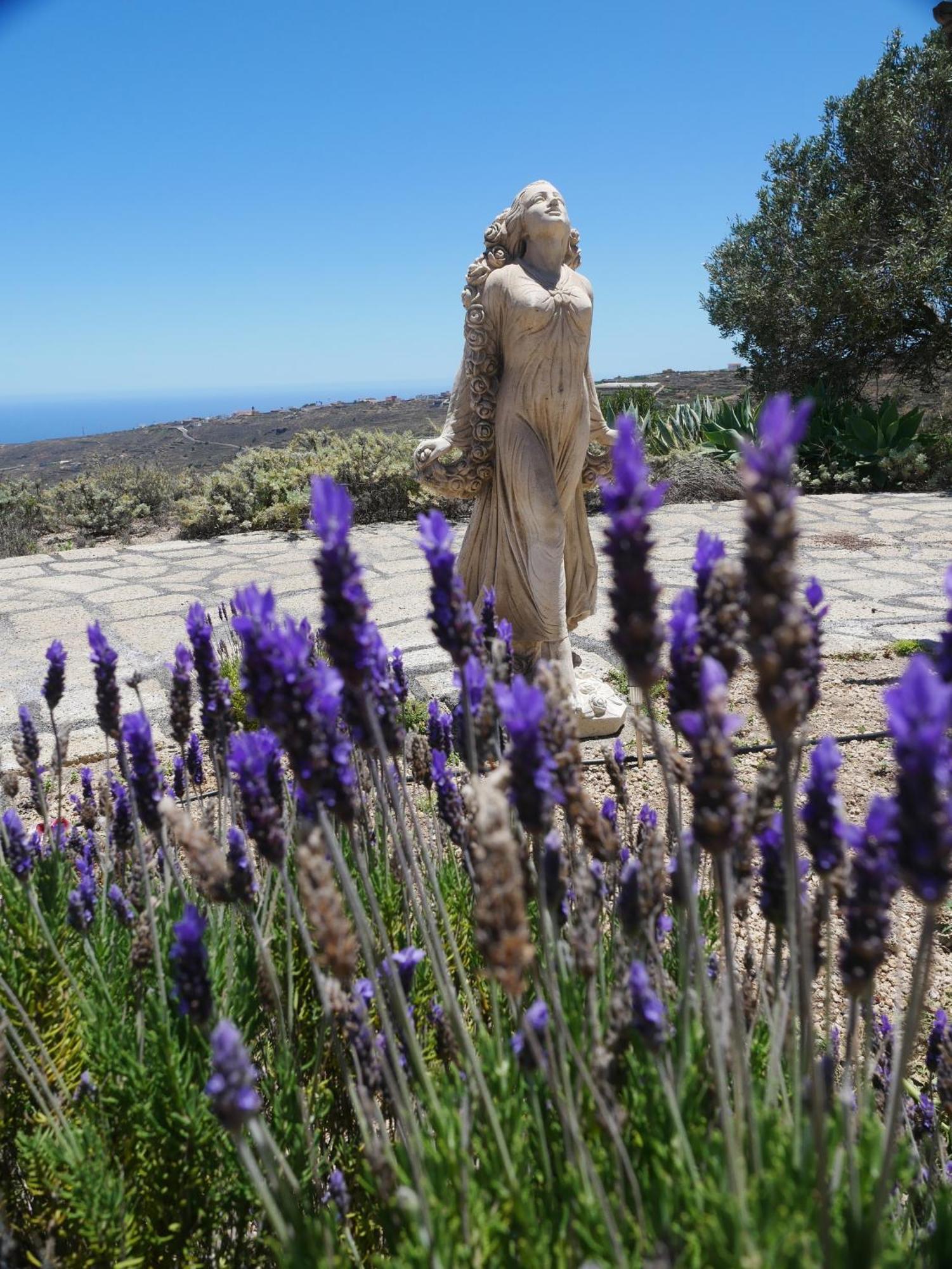 -Casa Azul-Arico Viejo La Sabinita - Baden, Wandern, Klettern, Individualurlaub Jenseits Des Massentourismus, Villa Dış mekan fotoğraf