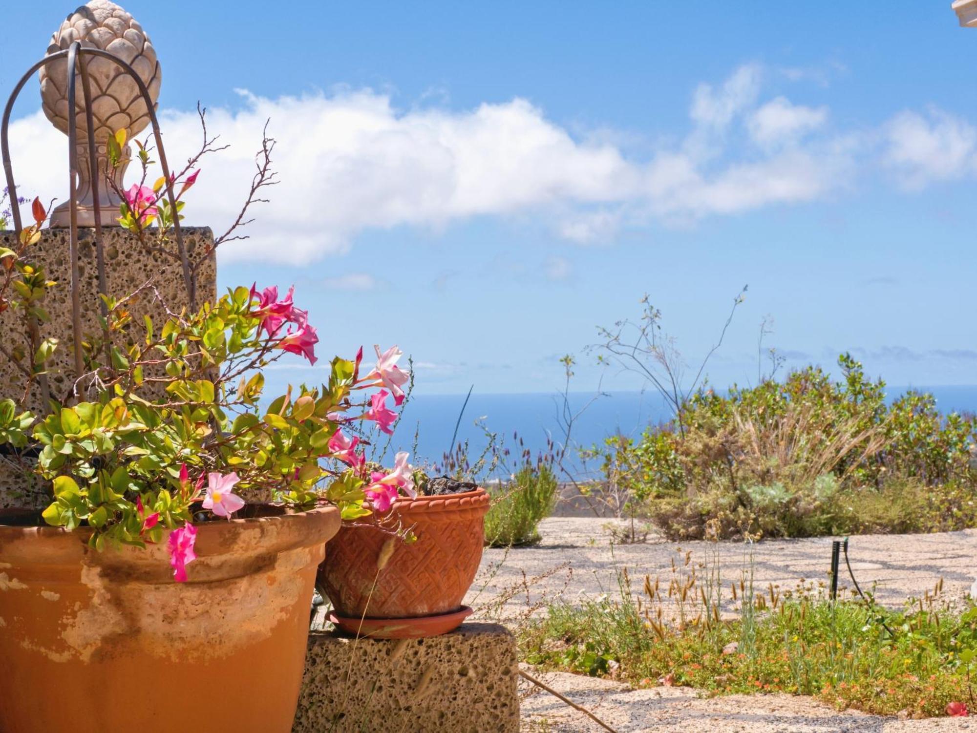 -Casa Azul-Arico Viejo La Sabinita - Baden, Wandern, Klettern, Individualurlaub Jenseits Des Massentourismus, Villa Dış mekan fotoğraf